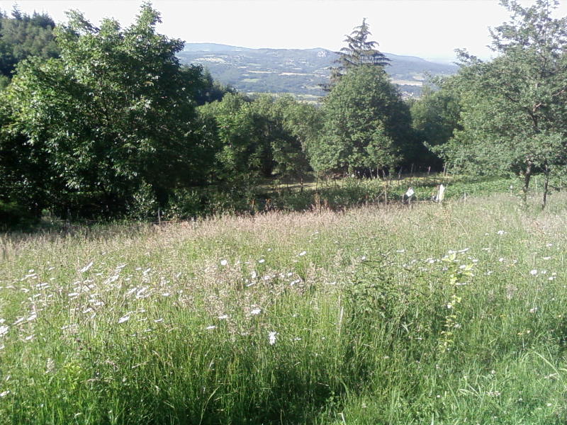 le calme et la vue de la savonnerie Retour aux Sources en Ariège, Pyrénées.